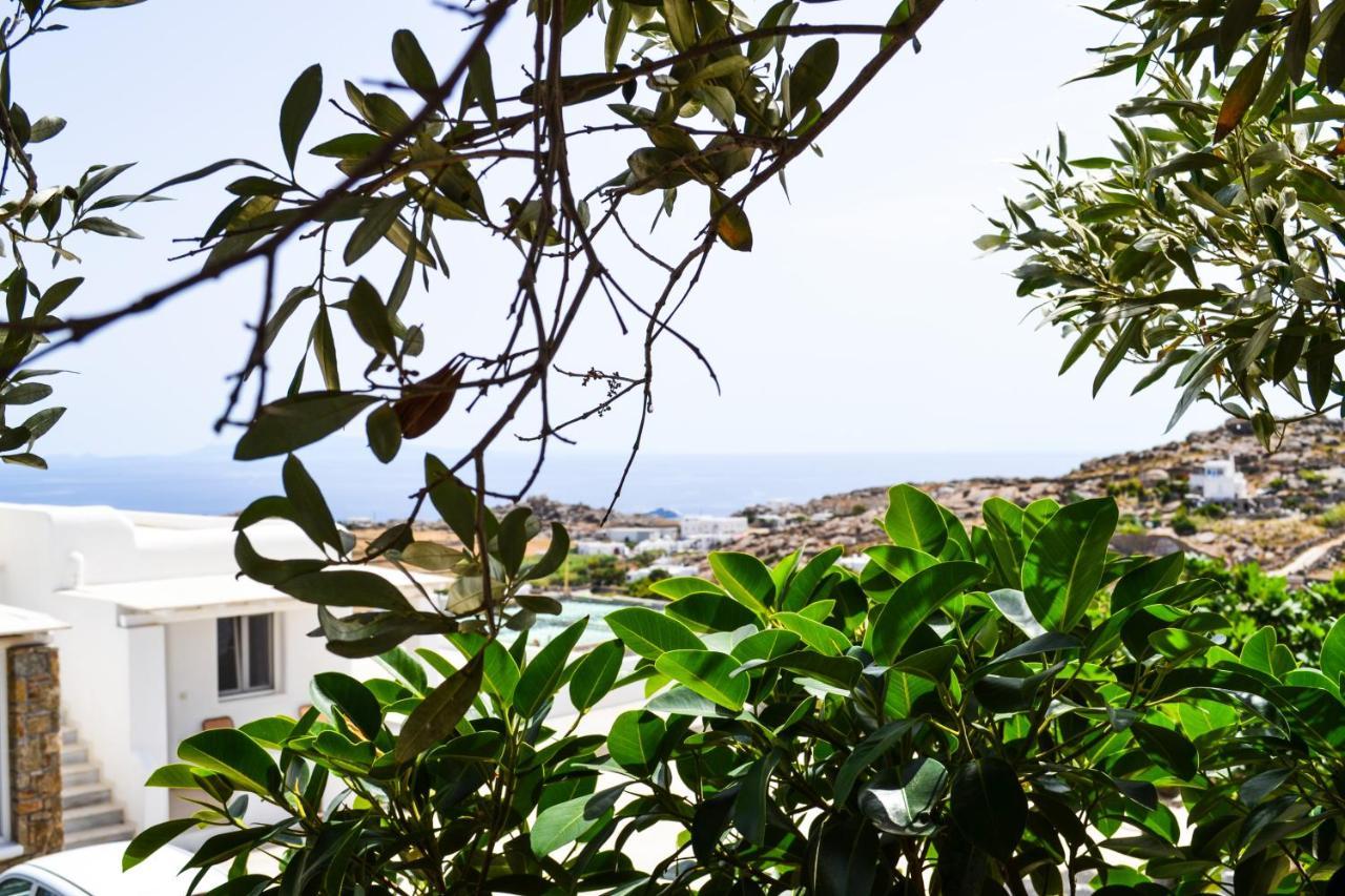 Elma'S Summerhouses Mykonos Town Exterior foto